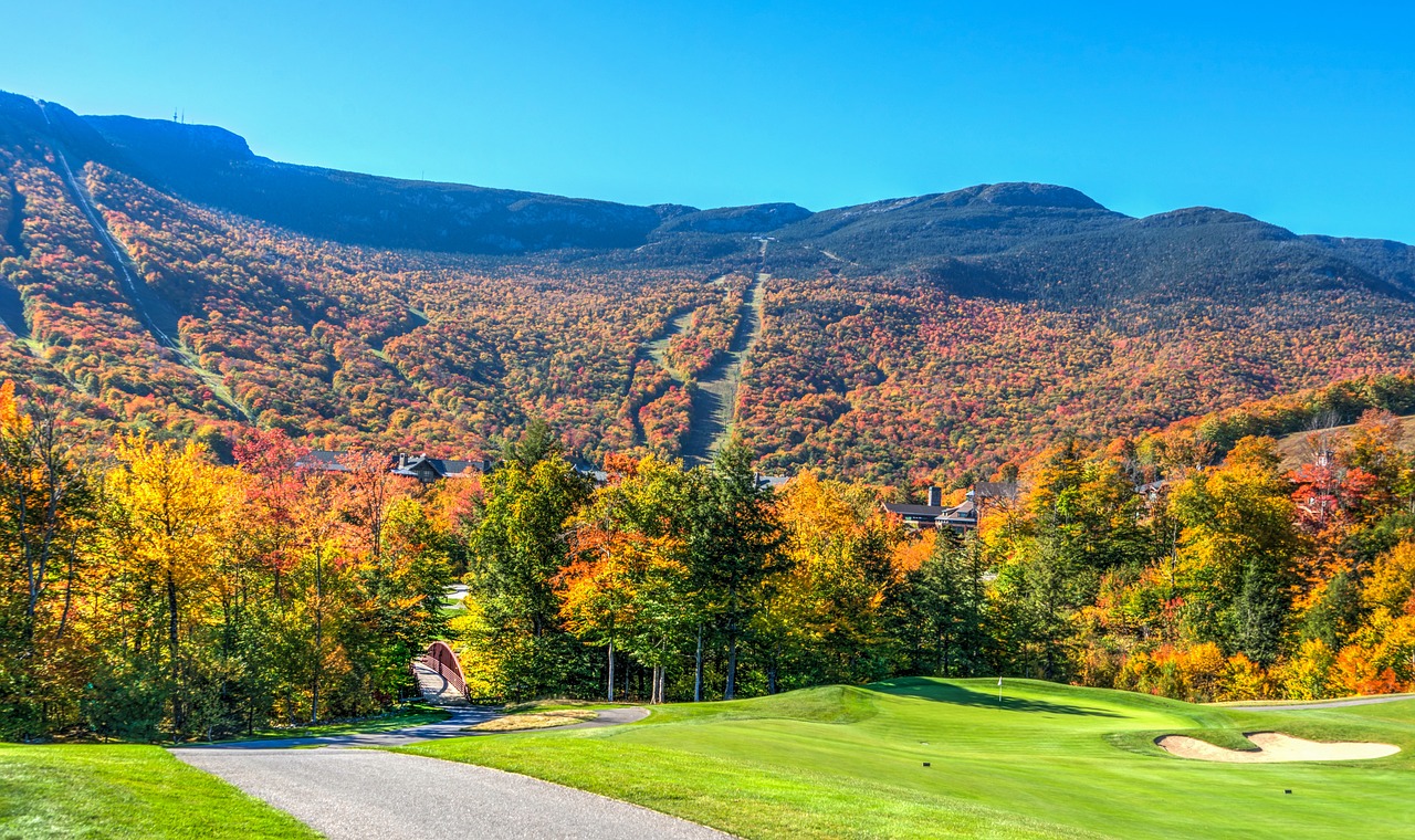 image from Vermont