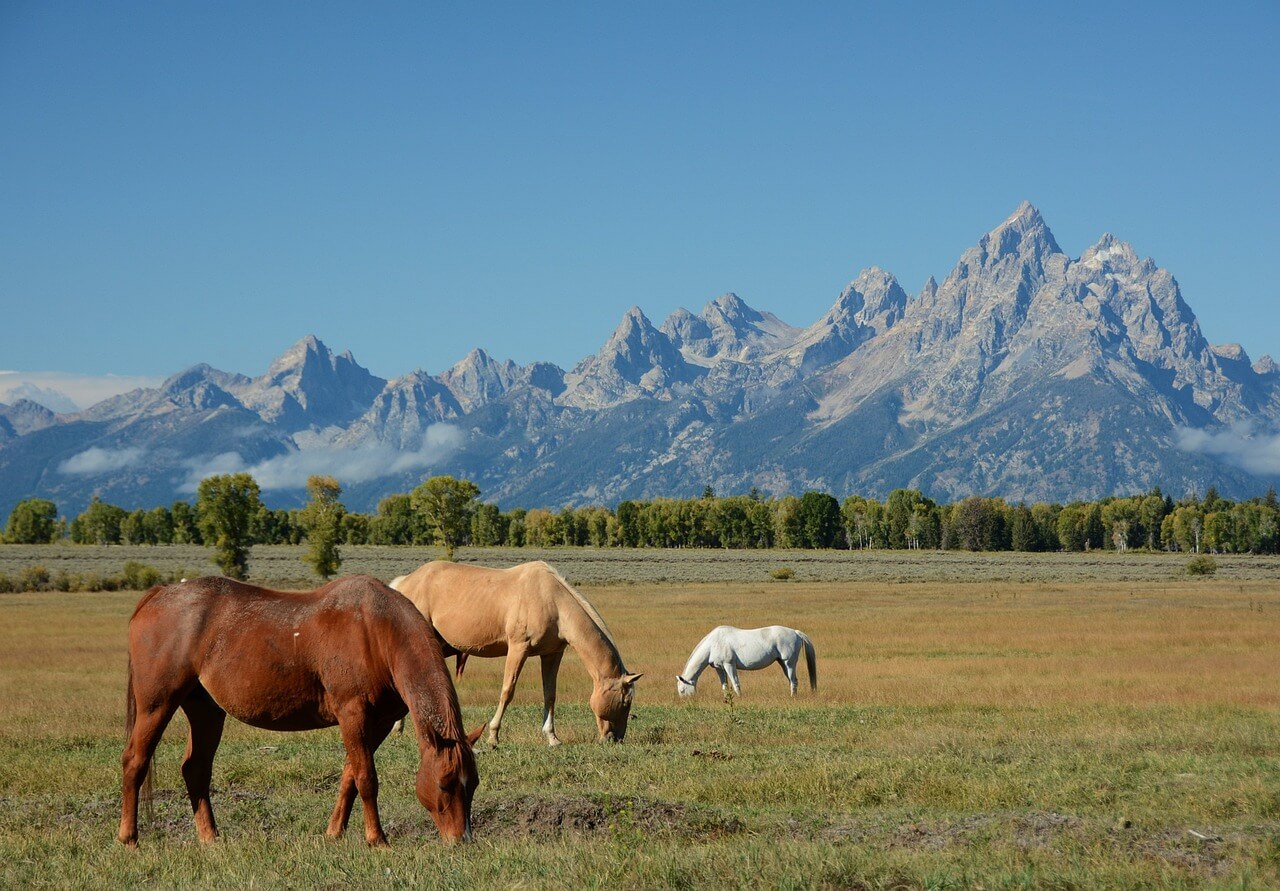 image from Wyoming